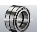 SL045005PP Cylindrical Roller Bearing (SL045006PP SL045010)